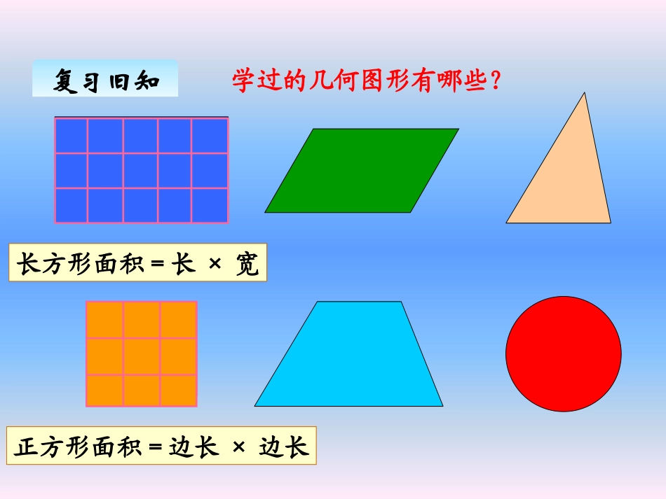 （复习）平面图形的周长和面积(2)_第2页