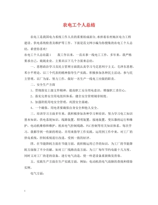 农电工个人总结