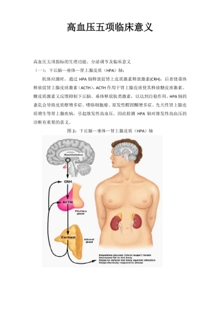 高血压五项临床意义