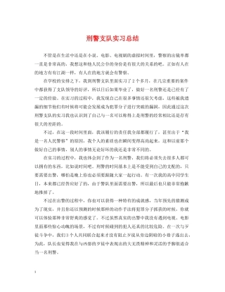 刑警支队实习总结