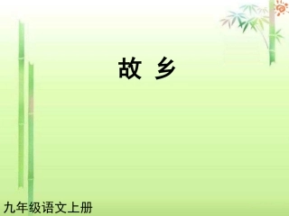 人教版语文九年级上册第09课故乡2课件