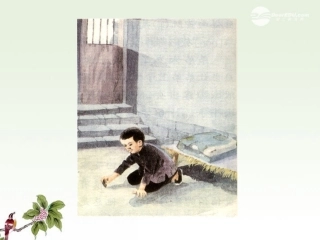 小萝卜头的故事