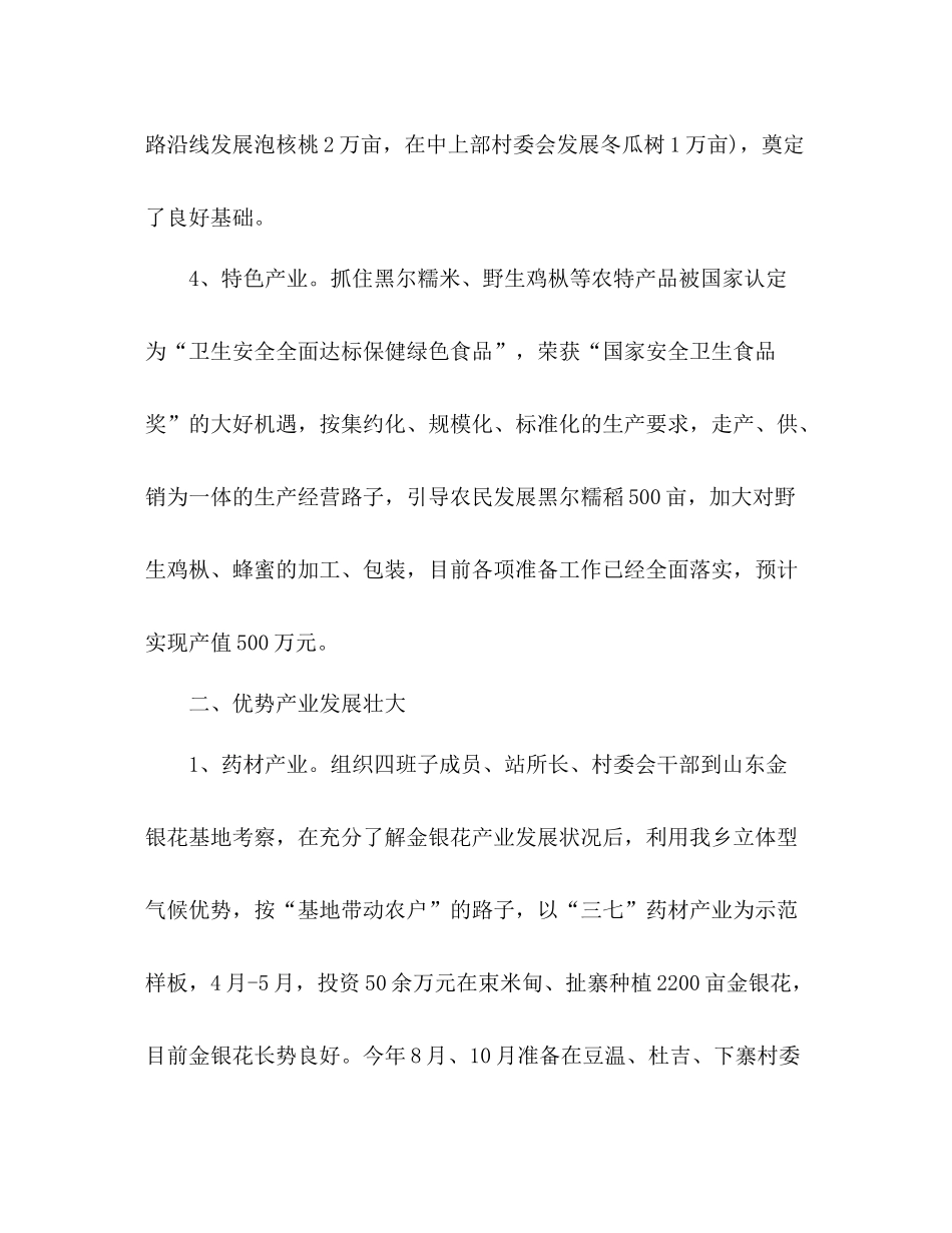 乡镇上半年工作重点总结范文_第3页