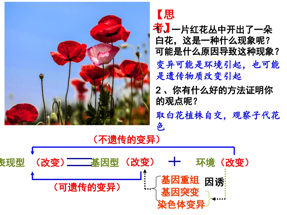 2018届高三生物一轮复习基因突变和基因重组（22张PPT）_第2页