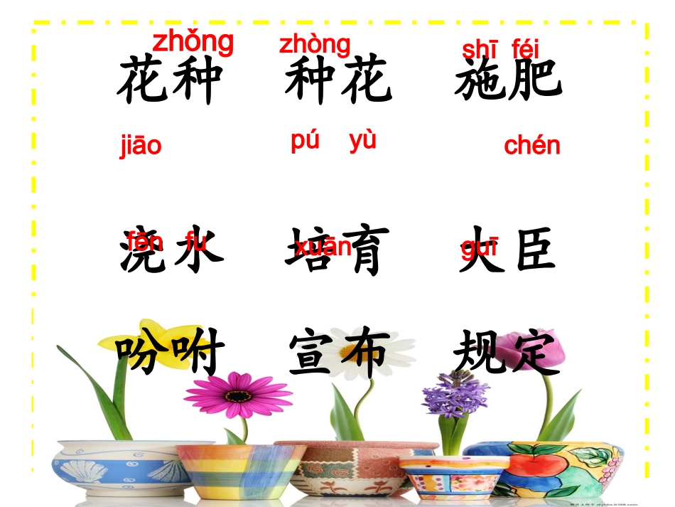 手捧空花盆的孩子 (2)_第2页
