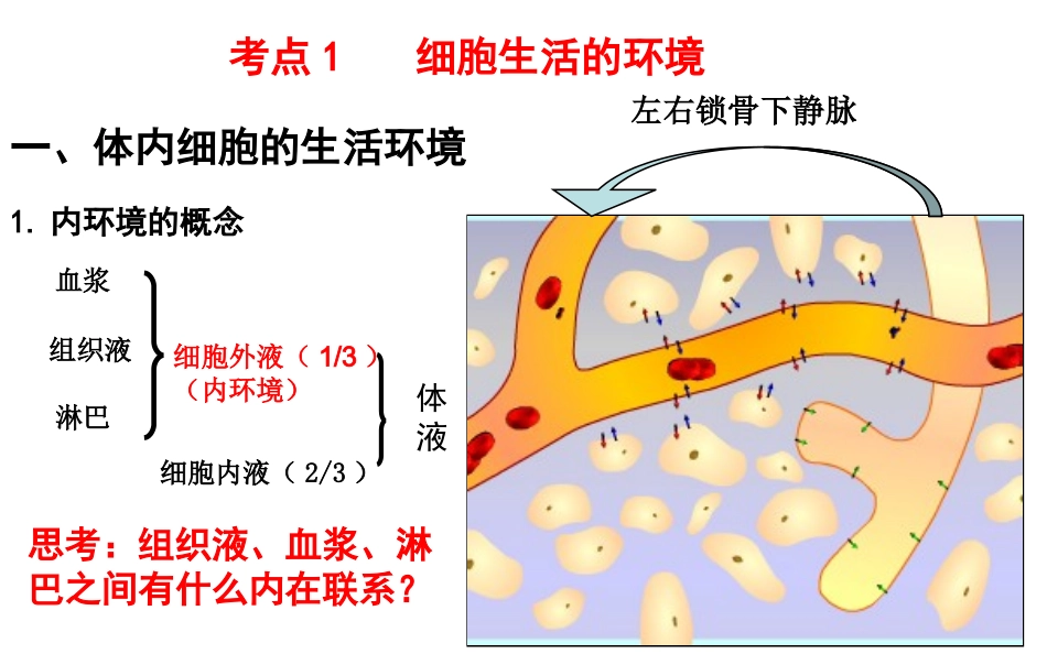 细胞生活的环境内环境稳态的重要性_第3页