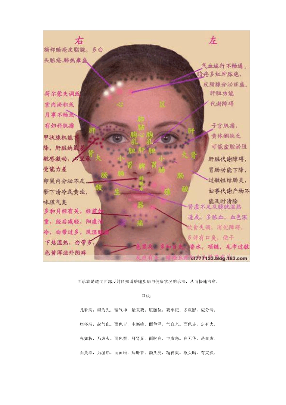 面诊就是透过面部反射区知道脏腑疾病及健康状况的诊法_第2页