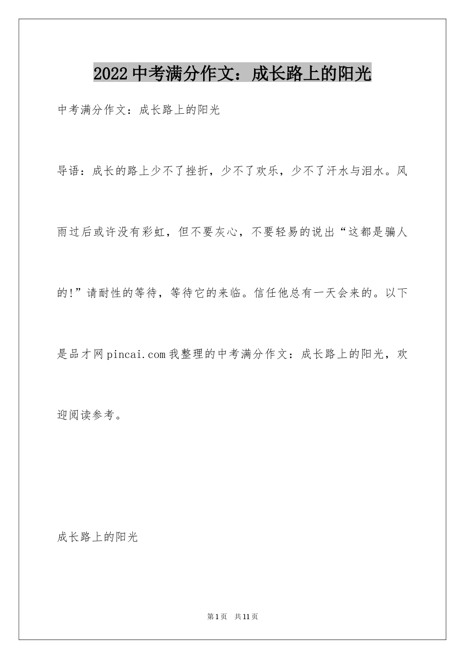 2024中考满分作文：成长路上的阳光_第1页