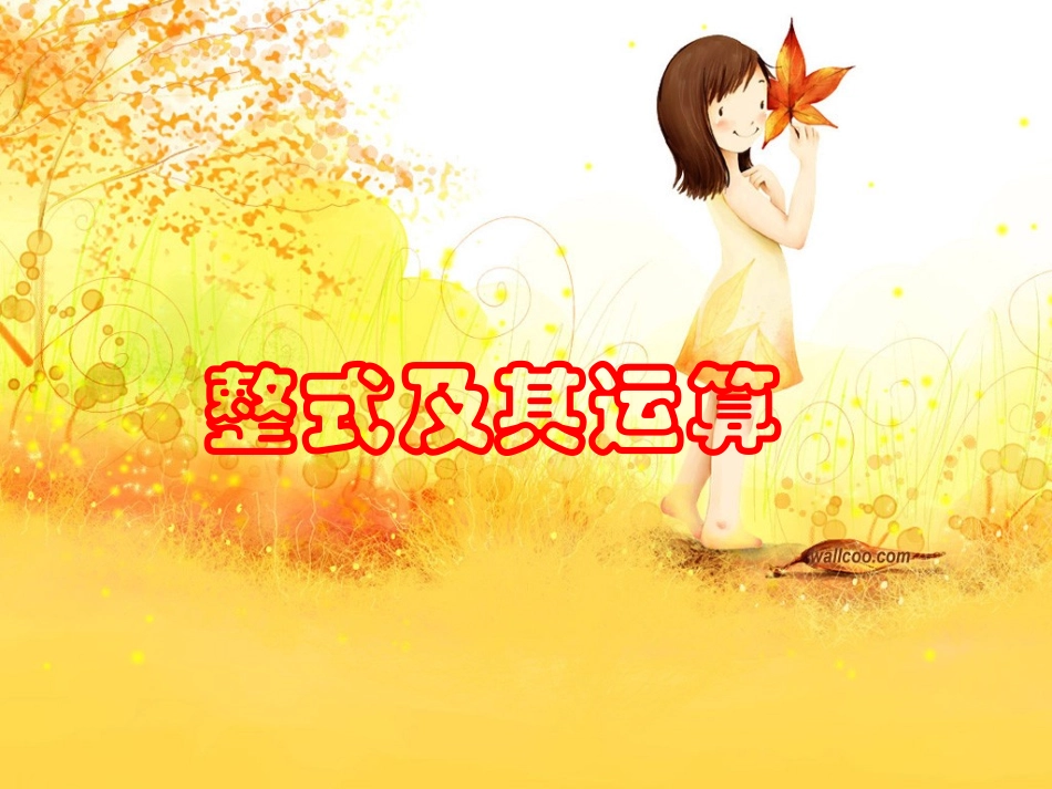 整式及其运算复习_第1页
