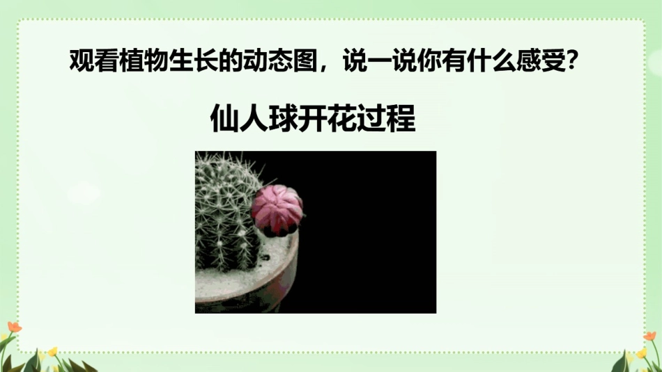 四年级第三单元习作：写观察日记_第2页