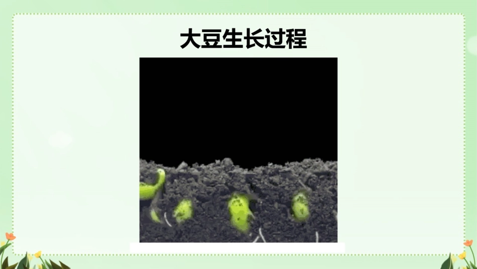 四年级第三单元习作：写观察日记_第3页