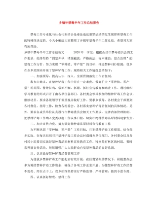乡镇年禁毒半年工作总结报告