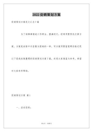 2024促销策划方案_18