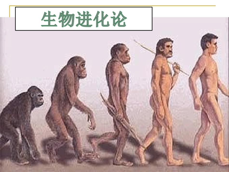 第1课中华大地的远古人类_第2页