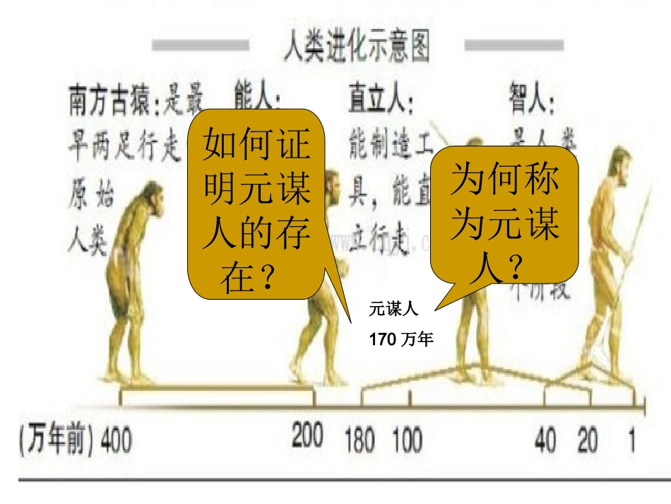 第1课中华大地的远古人类_第3页