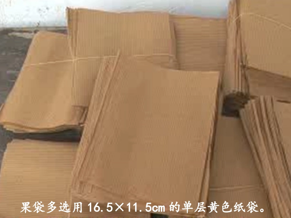 猕猴桃套袋方法_第3页