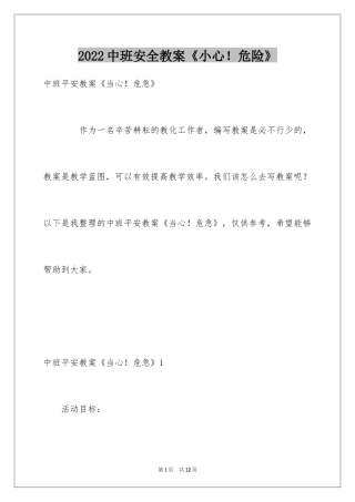 2024中班安全教案《小心！危险》
