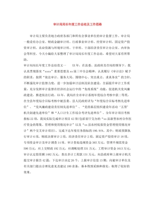 审计局局长年度工作总结及工作思路
