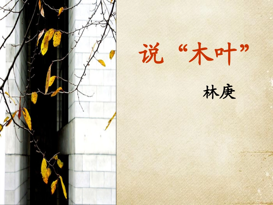 《说“木叶”》教学设计_第2页