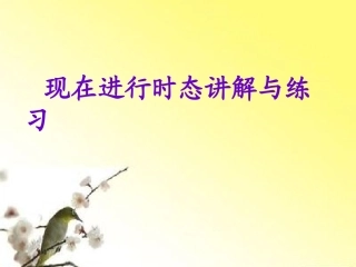 现在进行时态讲解与练习