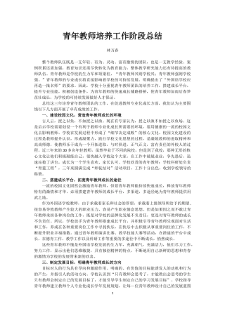 青年教师培养工作阶段总结