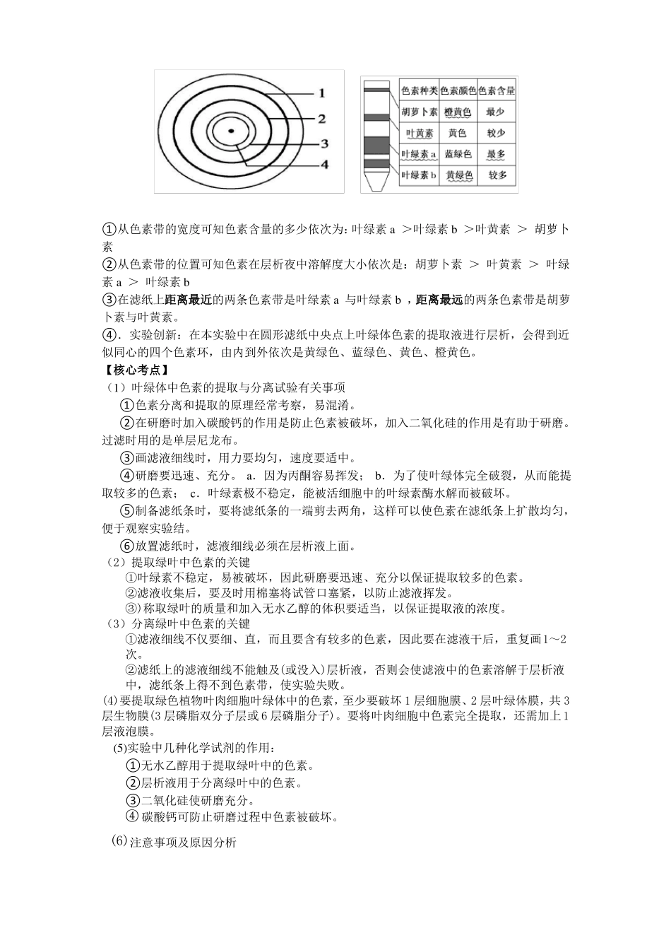 高中生物必修1光合作用知识点全面总结20_第3页