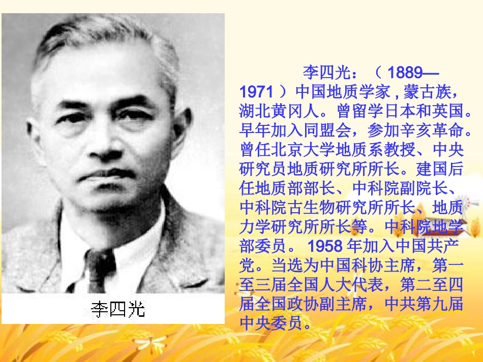 《奇怪的大石头》PPT课件-()_第2页