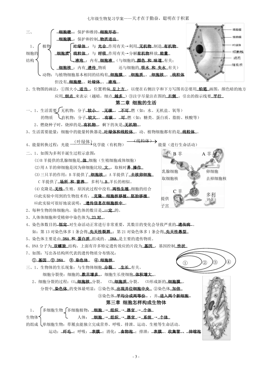 七年级生物复习学案_第3页