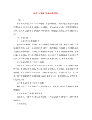 新员工试用期工作总结格式范文