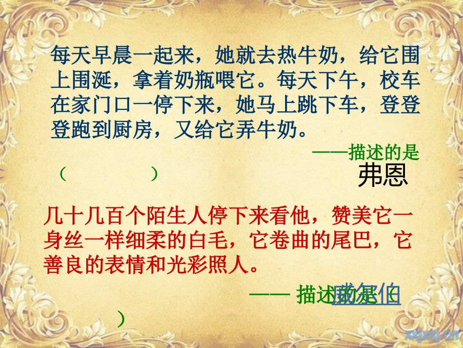 夏洛的网-阅读课_第3页