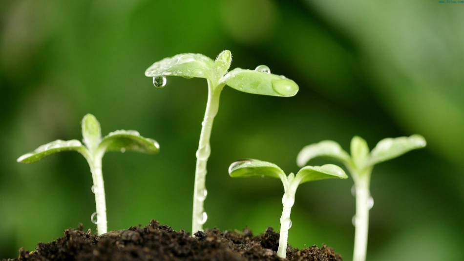 （2019秋）22四季之美_第3页