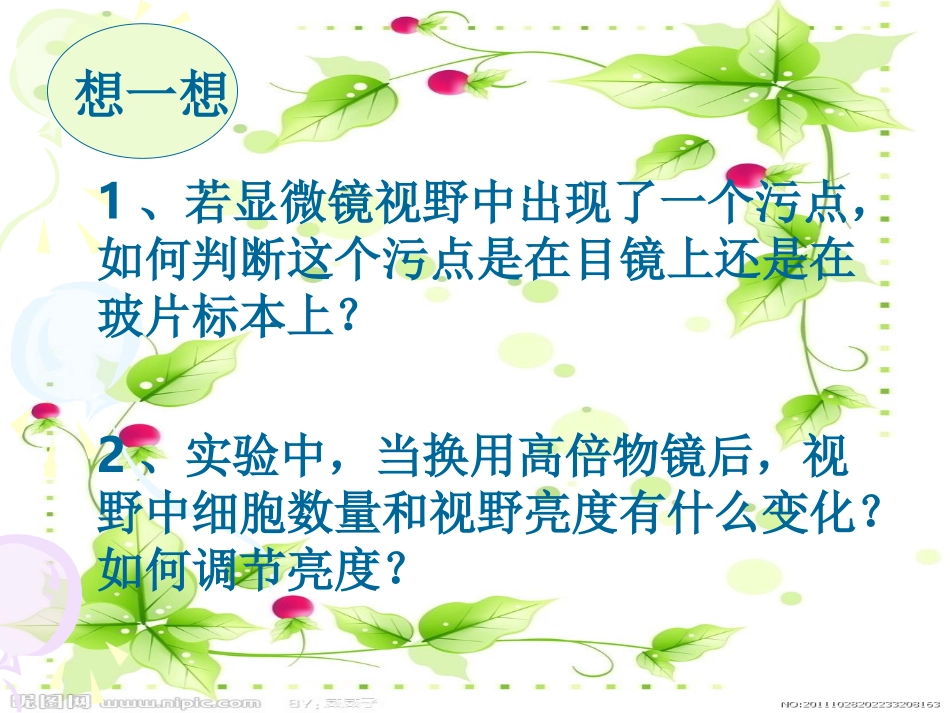 _第2节_探索生命的方法_第2页