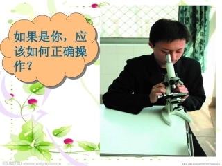 _第2节_探索生命的方法