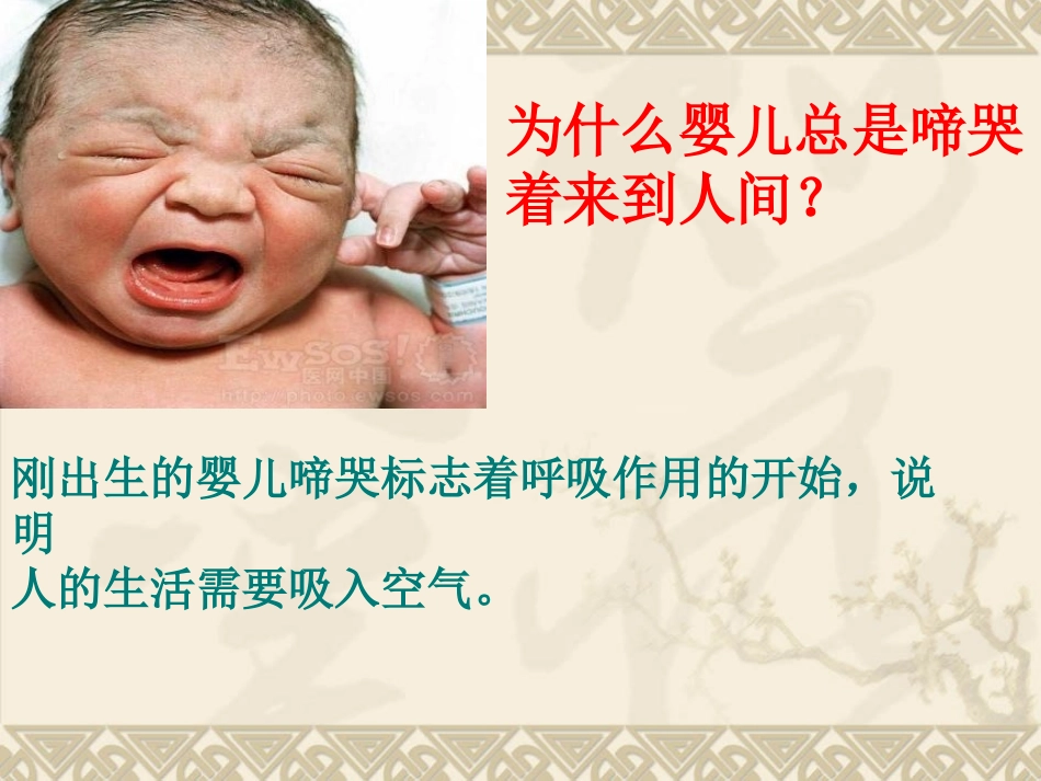 呼吸道对空气的处理_第2页