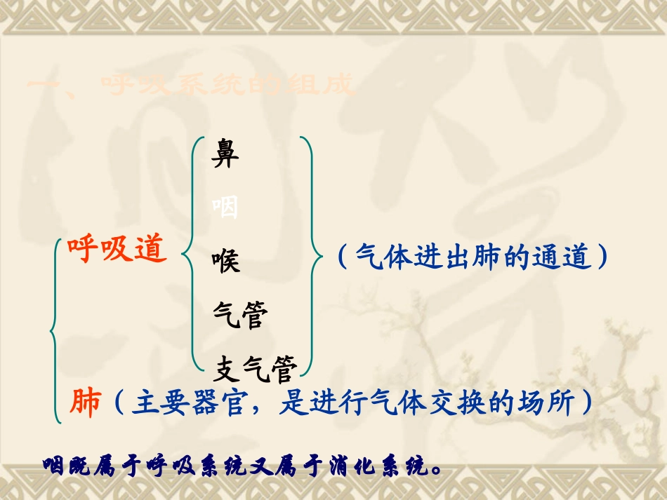 呼吸道对空气的处理_第3页