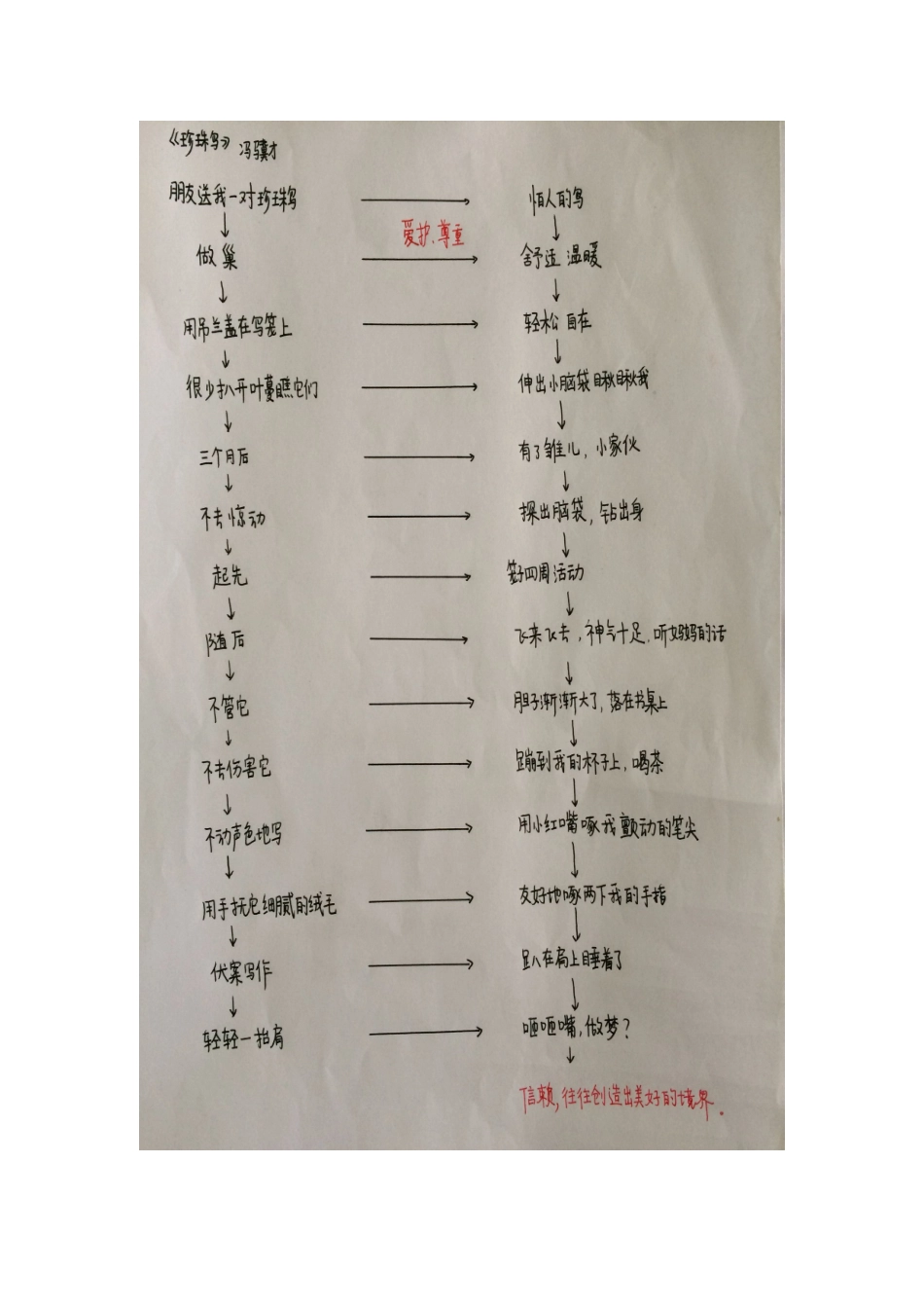 《珍珠鸟》思维导图2_第3页