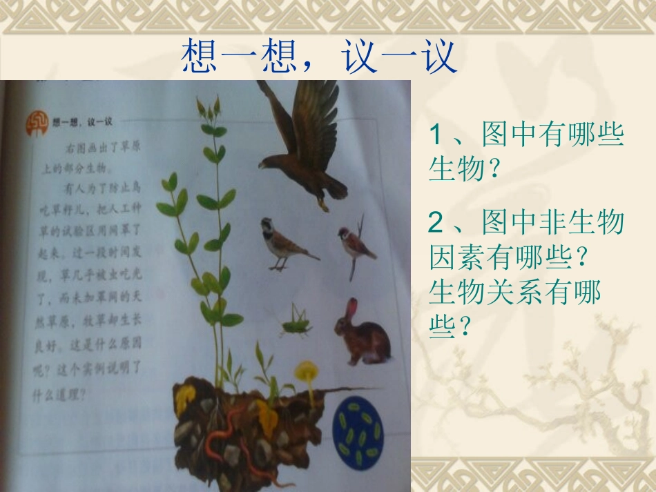 第二节生物与环境组成生态系统_第2页