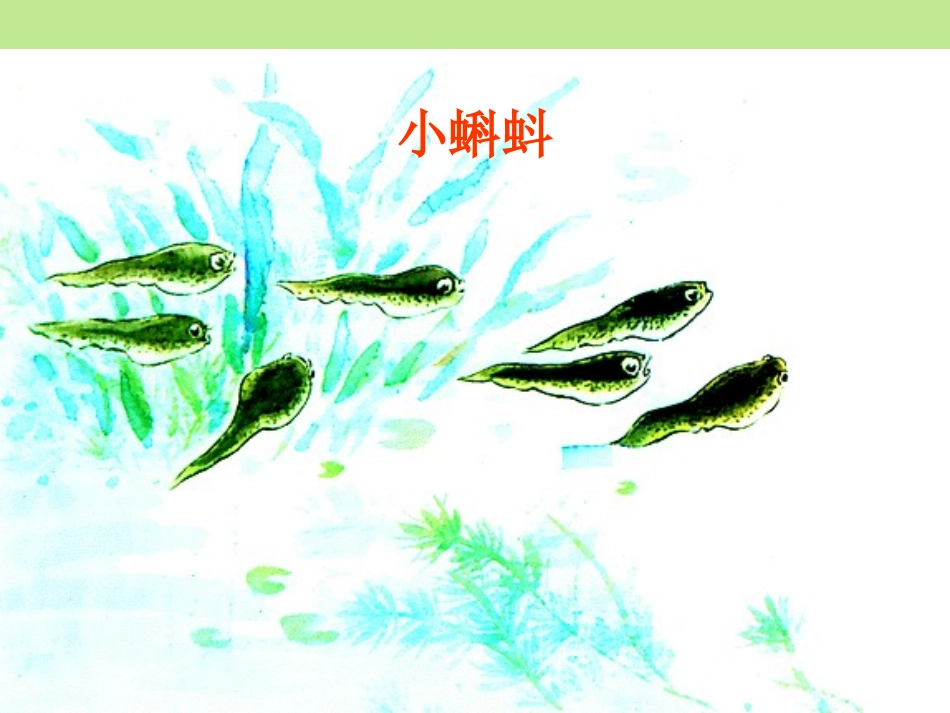 小蝌蚪找妈妈 (2)_第3页