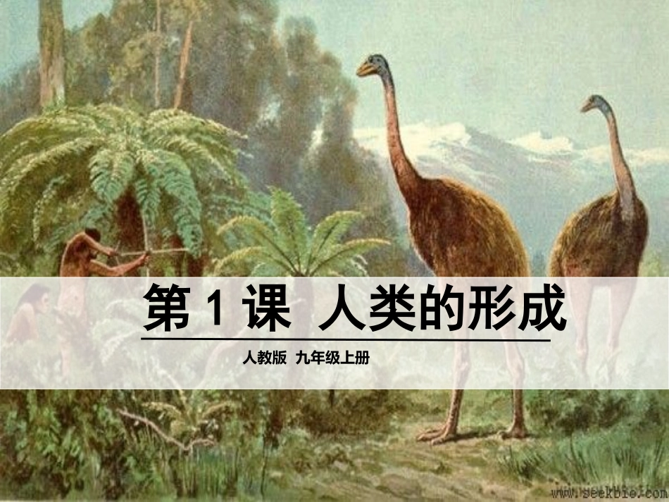 初中三年级历史上册第一单元人类文明的开端第1课人类的形成第一课时课件_第1页