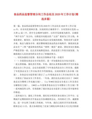 食品药品监督管理分局工作总结及2020年工作计划(精选多篇) 