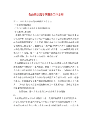 食品添加剂专项整治工作总结 