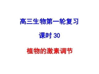 植物的激素调节