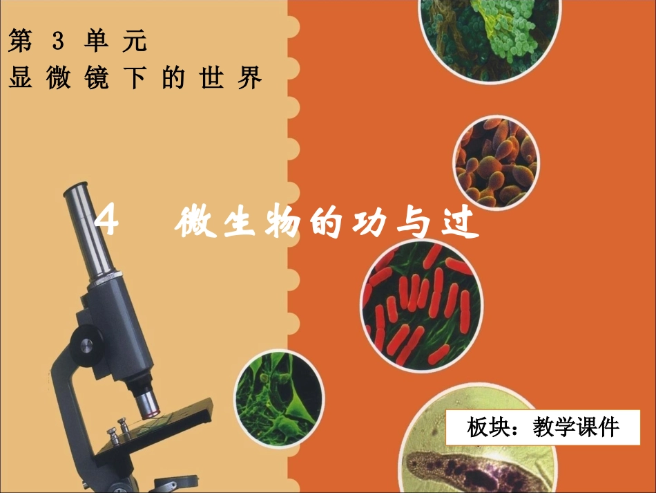 五下第三单元_4微生物的功与过_教学课件_第2页