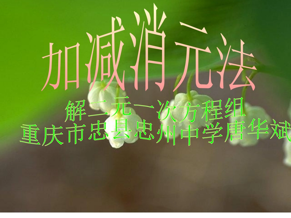 加减法解二元一次方程组_第1页