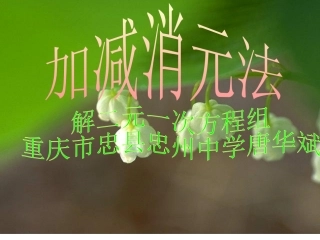 加减法解二元一次方程组