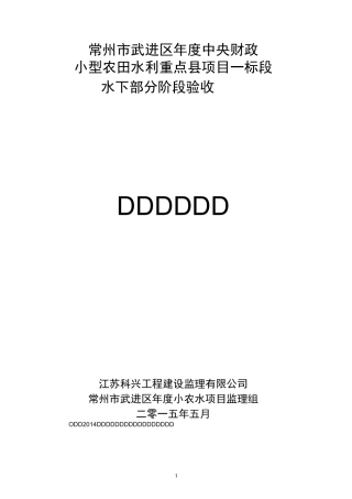 一标段水下验收监理工作报告