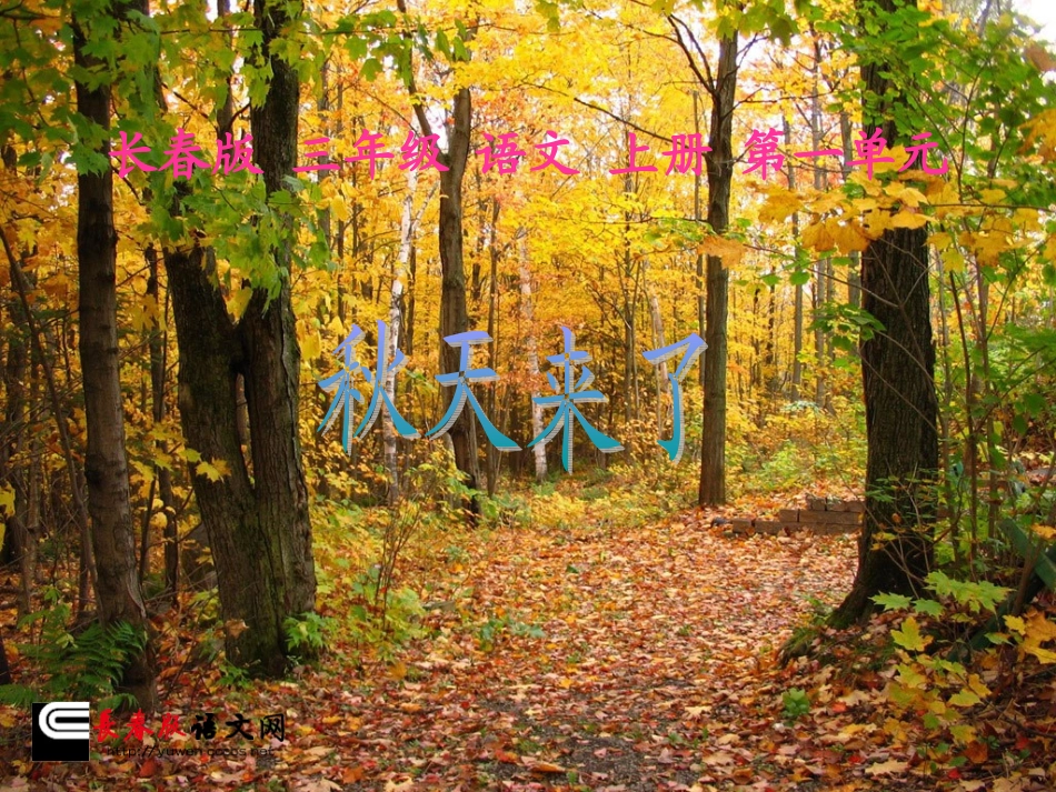 秋天来了-1 (3)_第1页