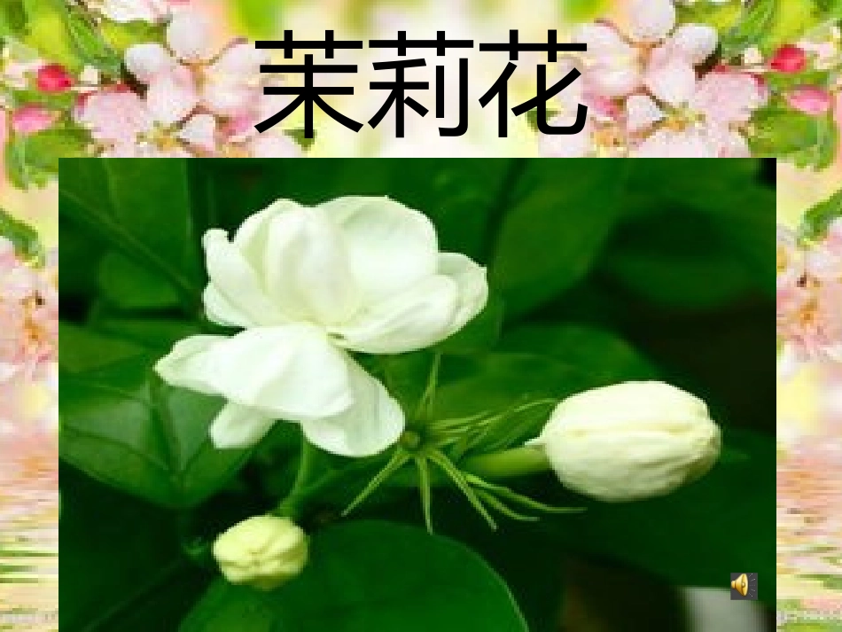 教案音乐茉莉花_第1页