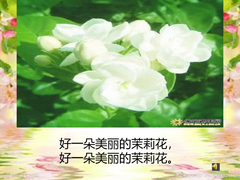 教案音乐茉莉花_第2页