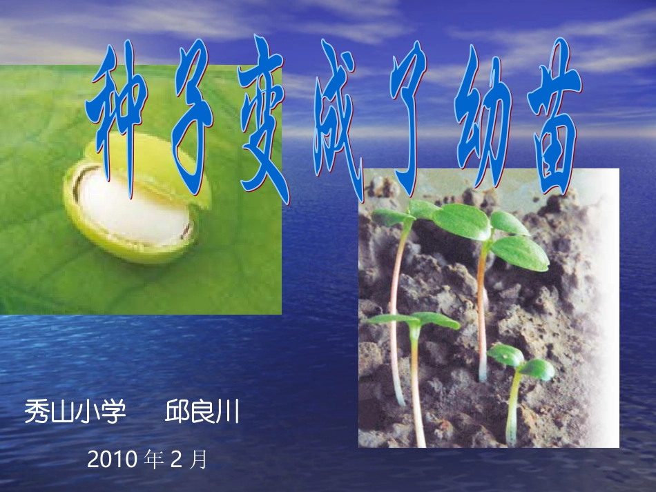 种子变成了幼苗_第2页